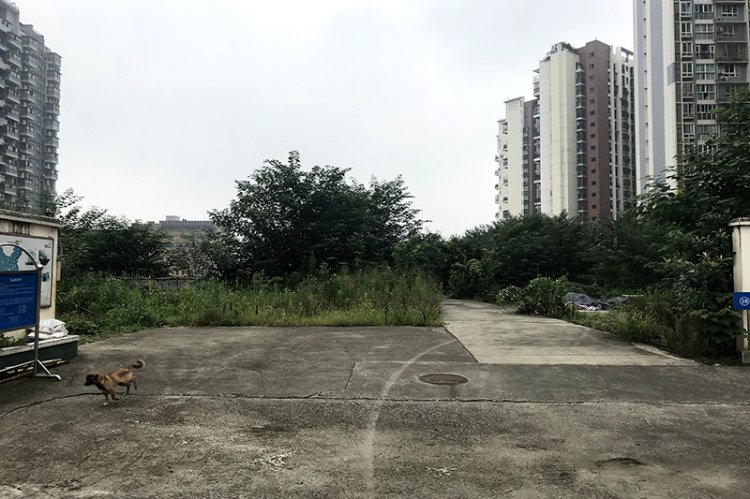 航飛三維、地理信息處理